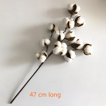 12 Cap Naturale Uscate De Bumbac Ramuri De Simulare Bumbac Ramură De Copac Acasă Decor Nunta Flori Artificiale Flori Uscate De Plante